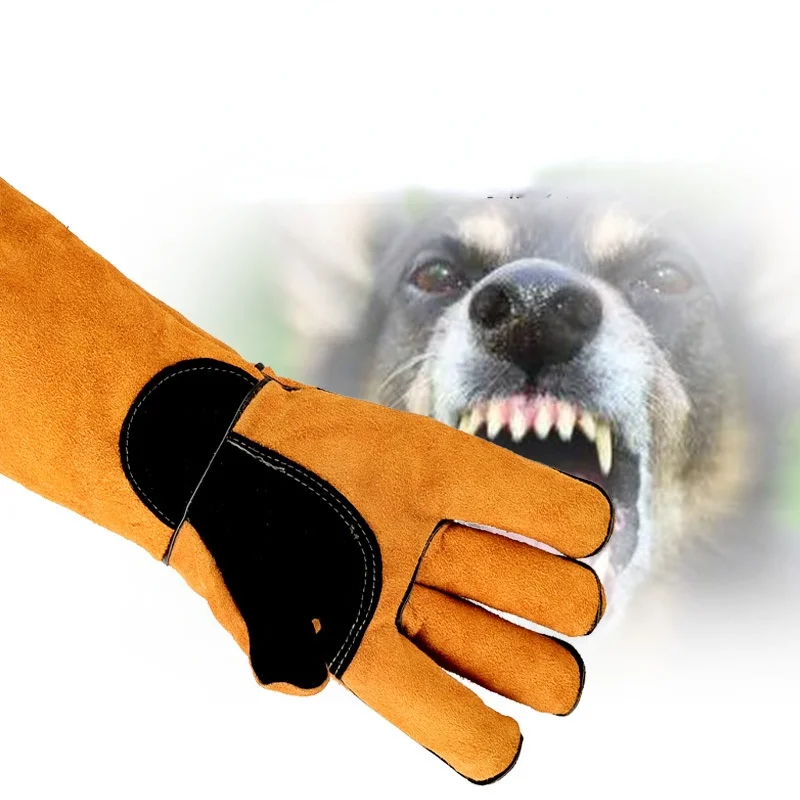Pet Gloves Cowhide Leather Ant - đánh giá và giá Leatherwork Training