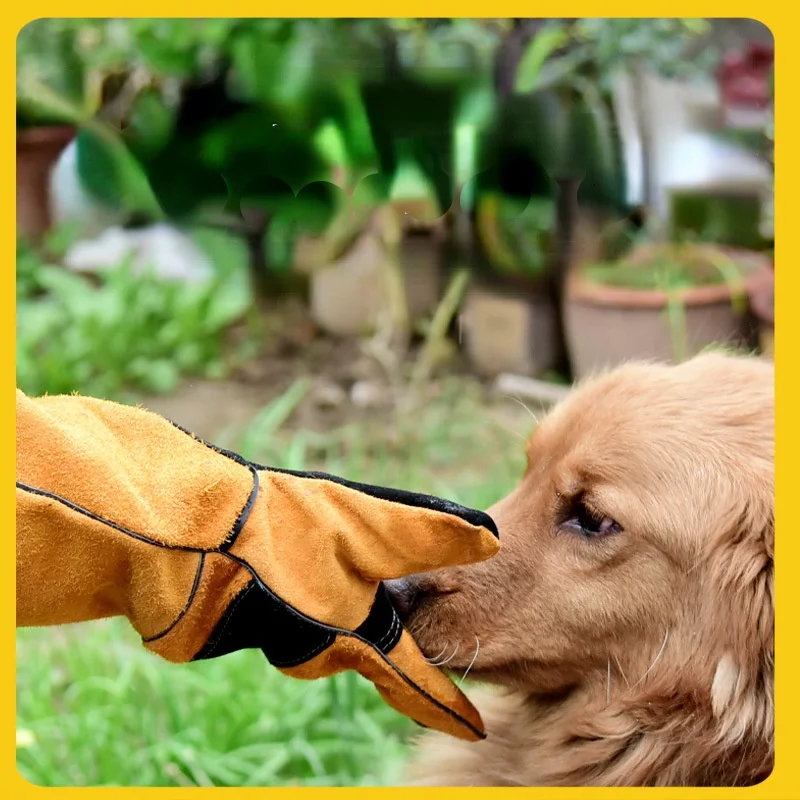 Pet Gloves Cowhide Leather Ant - đánh giá và giá Leatherwork Training