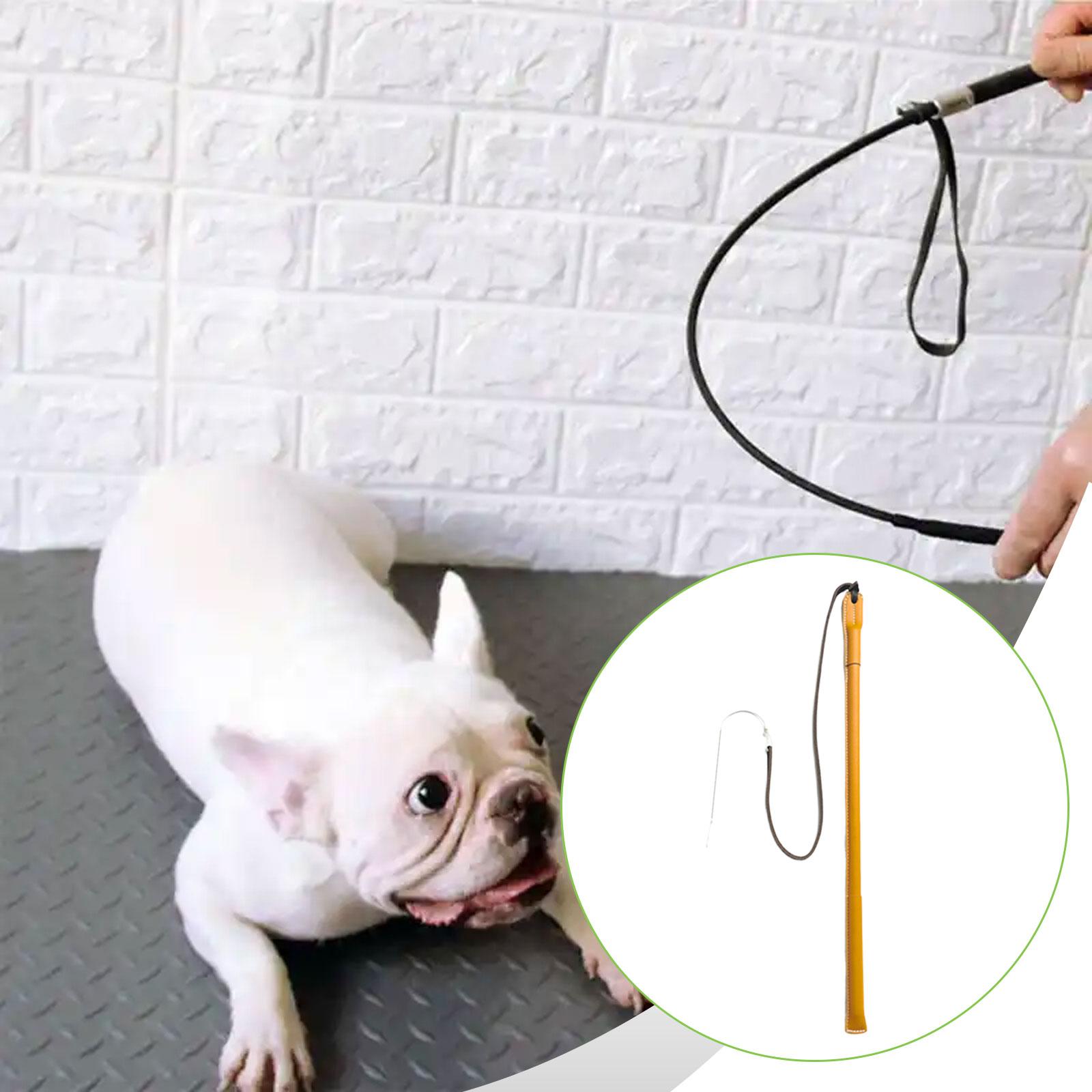 Wear Resistant PU Leather Dog  - đánh giá và giá Leatherwork Training