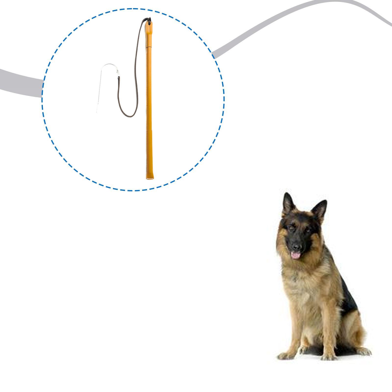 Wear Resistant PU Leather Dog  - đánh giá và giá Leatherwork Training