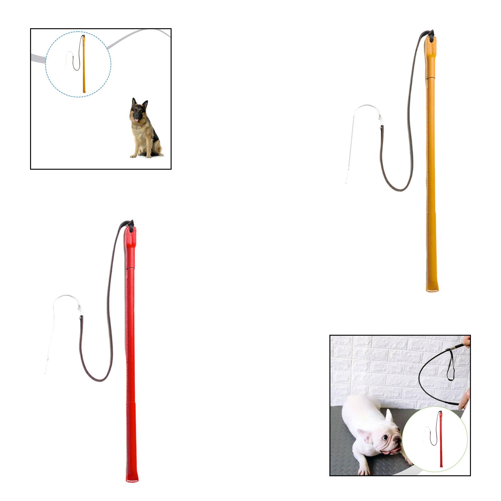 Wear Resistant PU Leather Dog  - đánh giá và giá Leatherwork Training