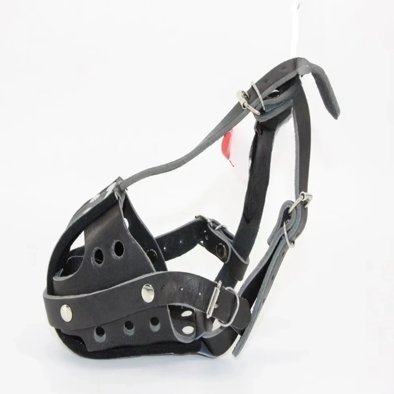 Tactical Dog Leather Working D - đánh giá và giá Leatherwork Training