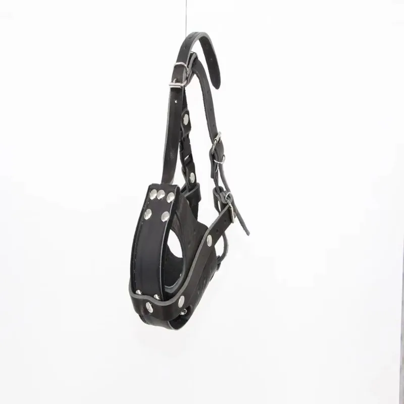 Tactical Dog Leather Working D - đánh giá và giá Leatherwork Training