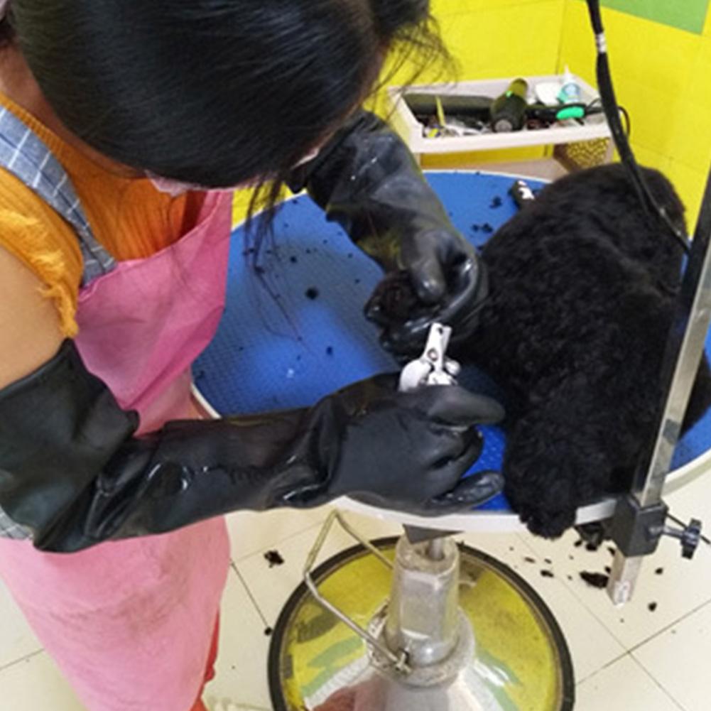 Thú Cưng Găng Tay Da Chống Nắm - đánh giá và giá Leatherwork Training